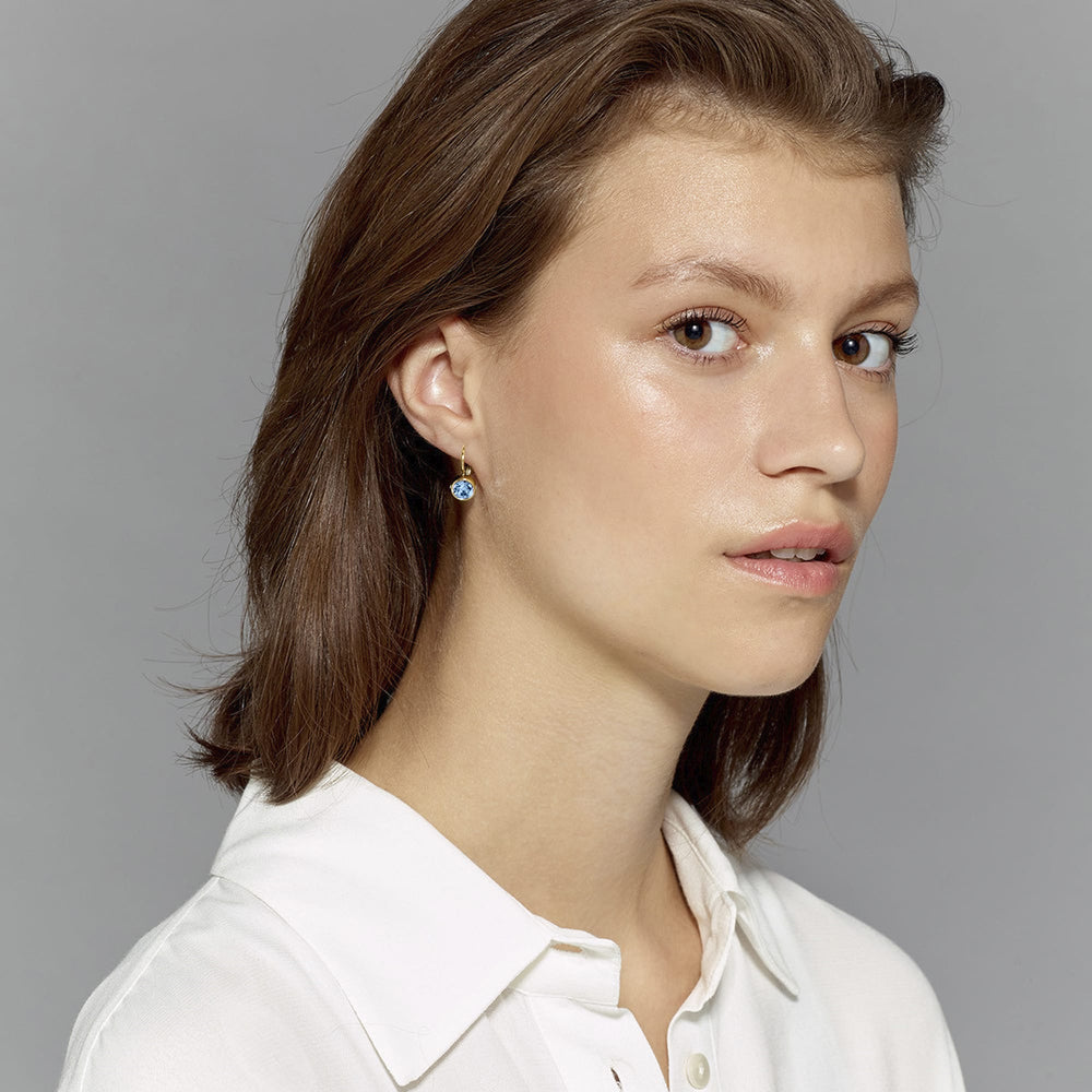 Aquamarine And Clear Crystal Hook Gold Earrings, Aquagreen Crystal Gold Hook Earrings